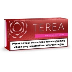 Terea Sienna for IQOS ILUMA